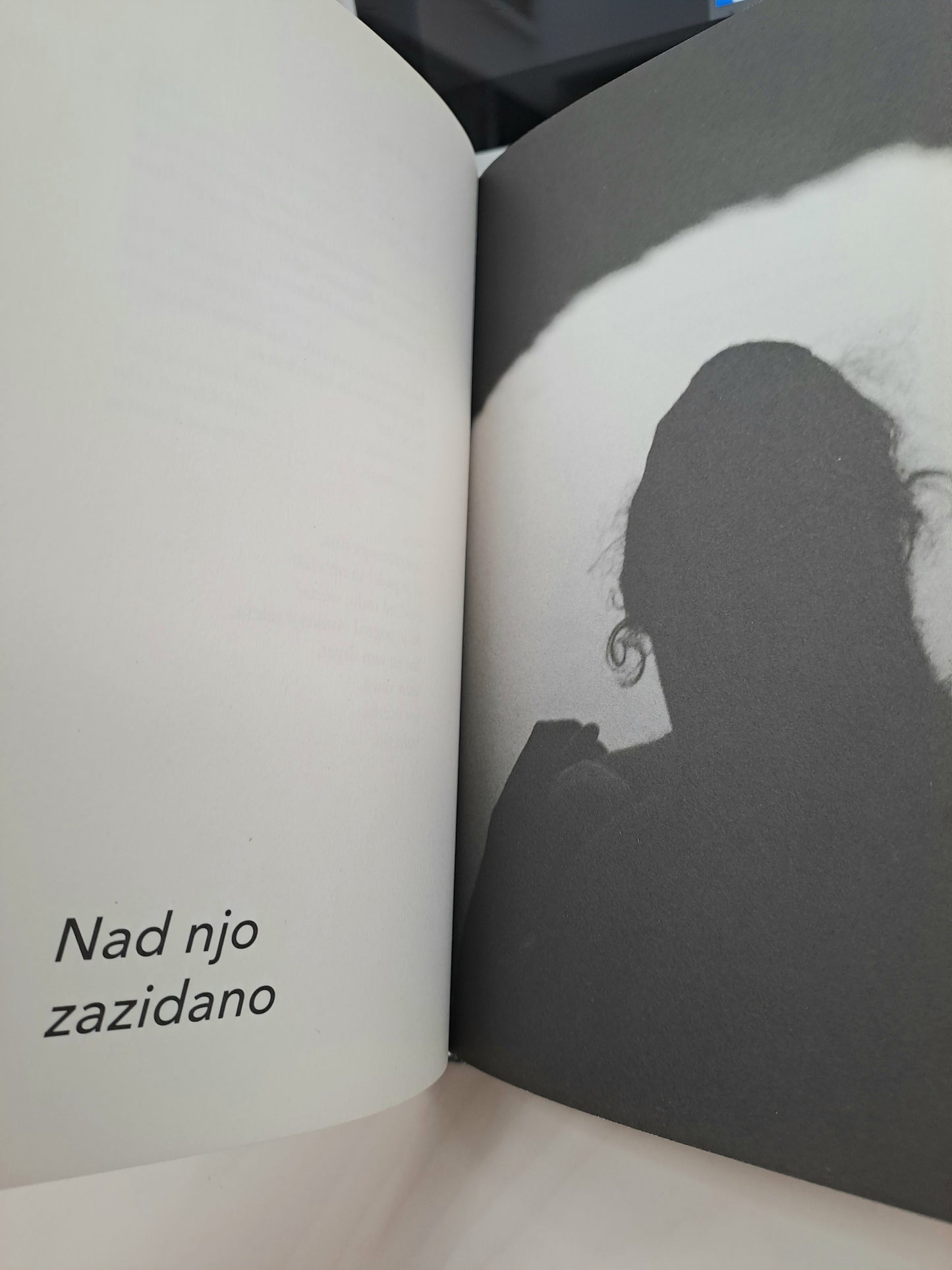 Željko Kozinc / Pozni žarek