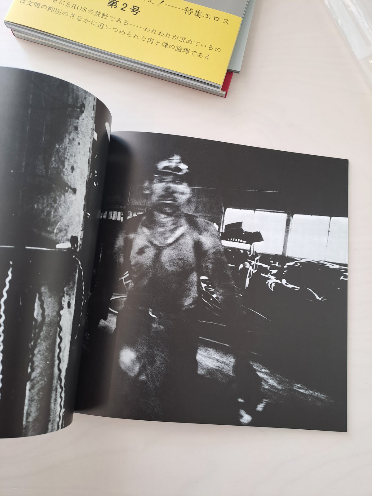 Provoke: Provocative Materials for Thought (Ponatis vseh treh številk)