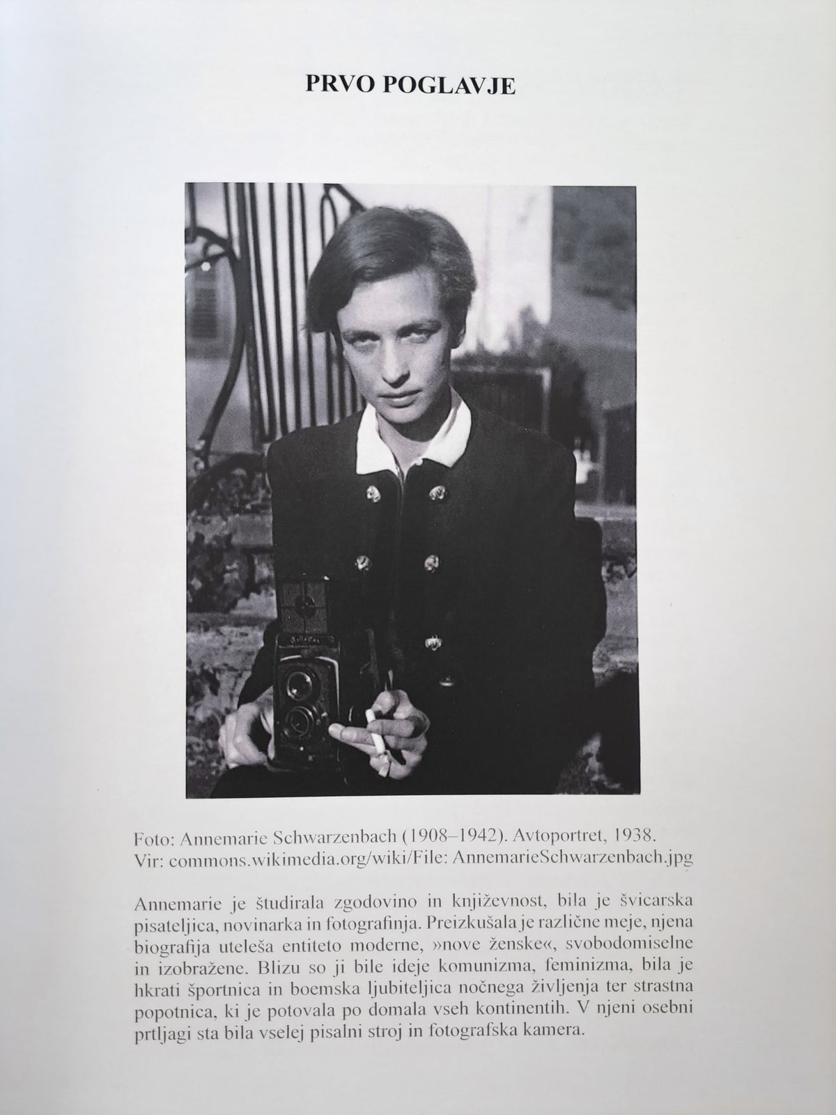 Tanja Plevnik / Hvalnica fotografiji: zapisi iz temne sobe, polne svetlobe