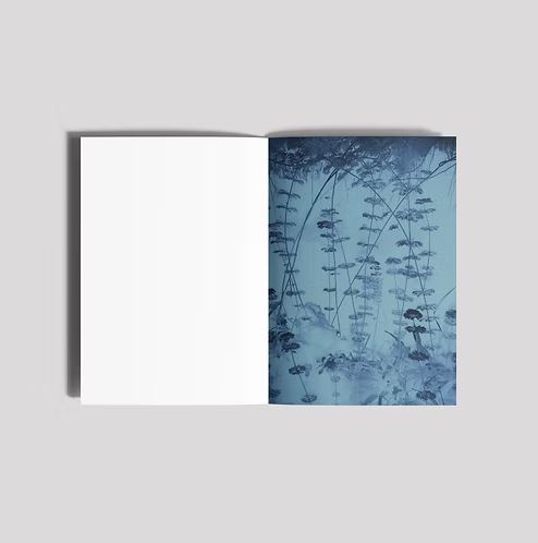 Yorgos Yatromanolakis / Farewell To The Night