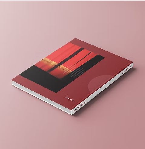 Ralph Gibson / Vu, Imprévu