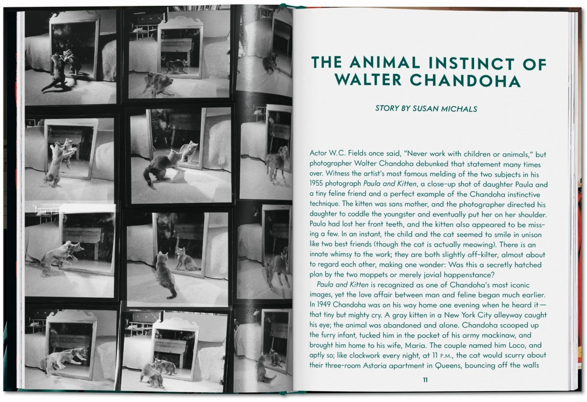  Walter Chandoha / Cats. Photographs 1942–2018