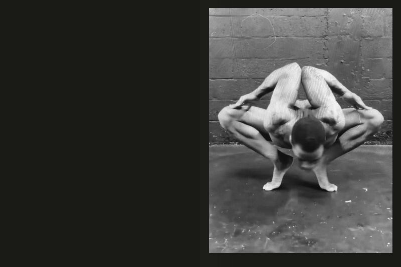 Jakob Ganslmeier & Ana Zibelnik / If a Flower Bloomed in a Dark Room, Would You Trust It? Repeat After Me / Bereitschaft