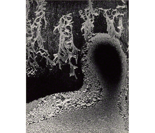 Martineau Paul / Minor White: Manifestations of the Spirit