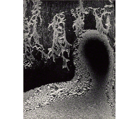 Martineau Paul / Minor White: Manifestations of the Spirit