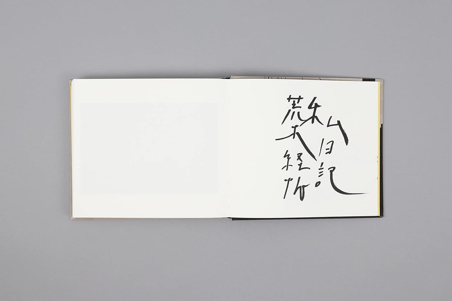 Nobuyoshi Araki / Shi Nikki (Private Diary) for Robert Frank