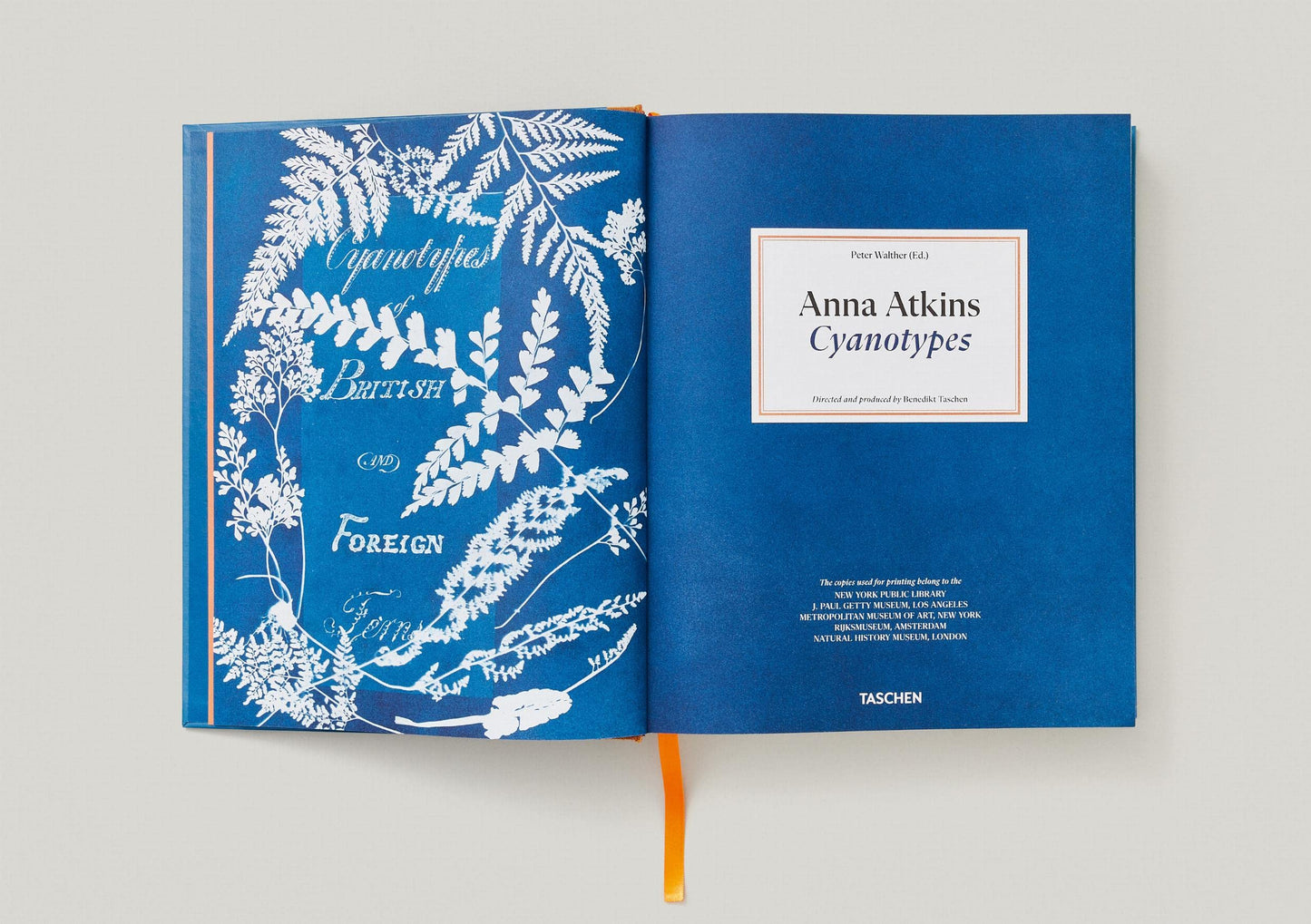 Anna Atkins / Cyanotypes
