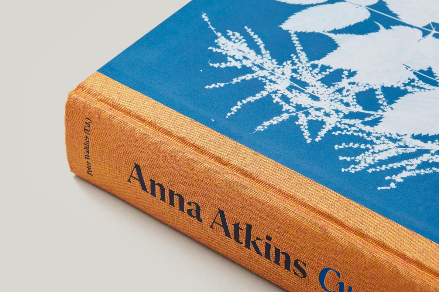 Anna Atkins / Cyanotypes