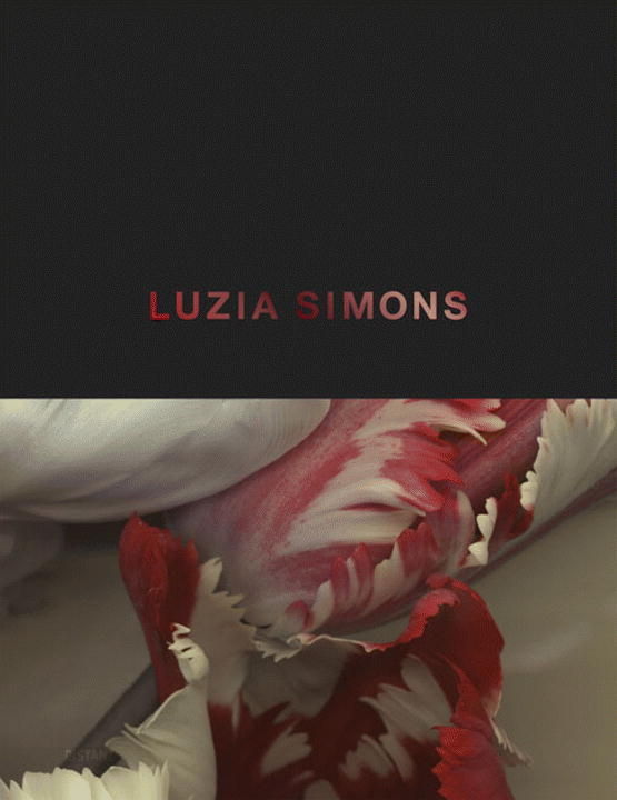 Luzia Simons monografija