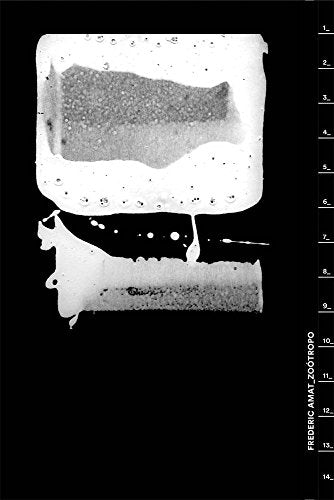 Frederic Amat / Zoótropo