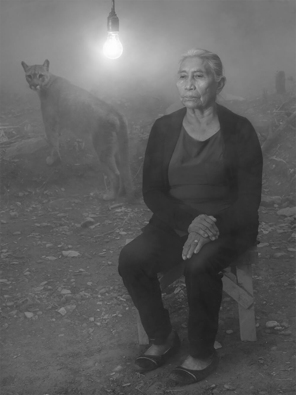 Nick Brandt / The Day May Break (Chapter Two)