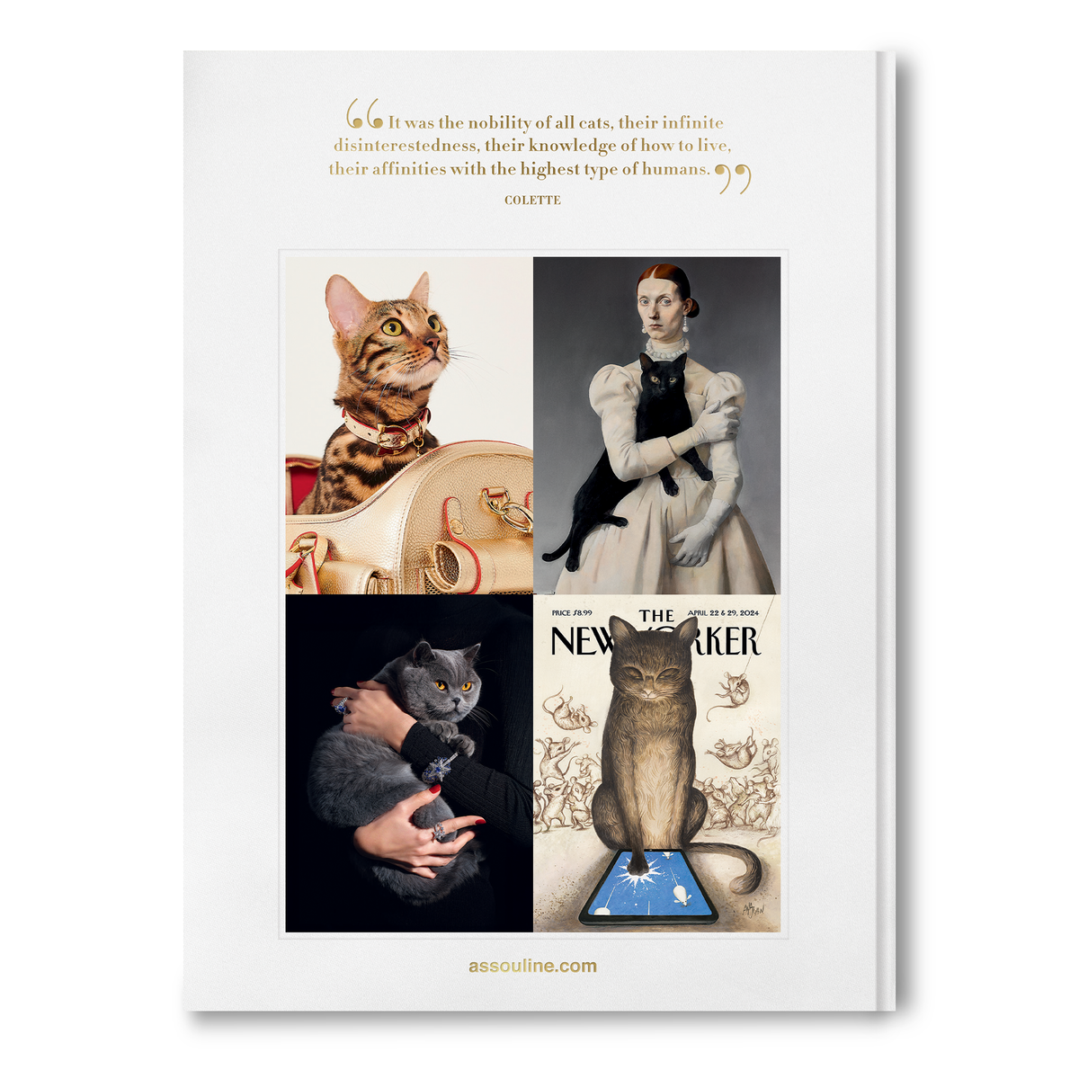Chic Cats