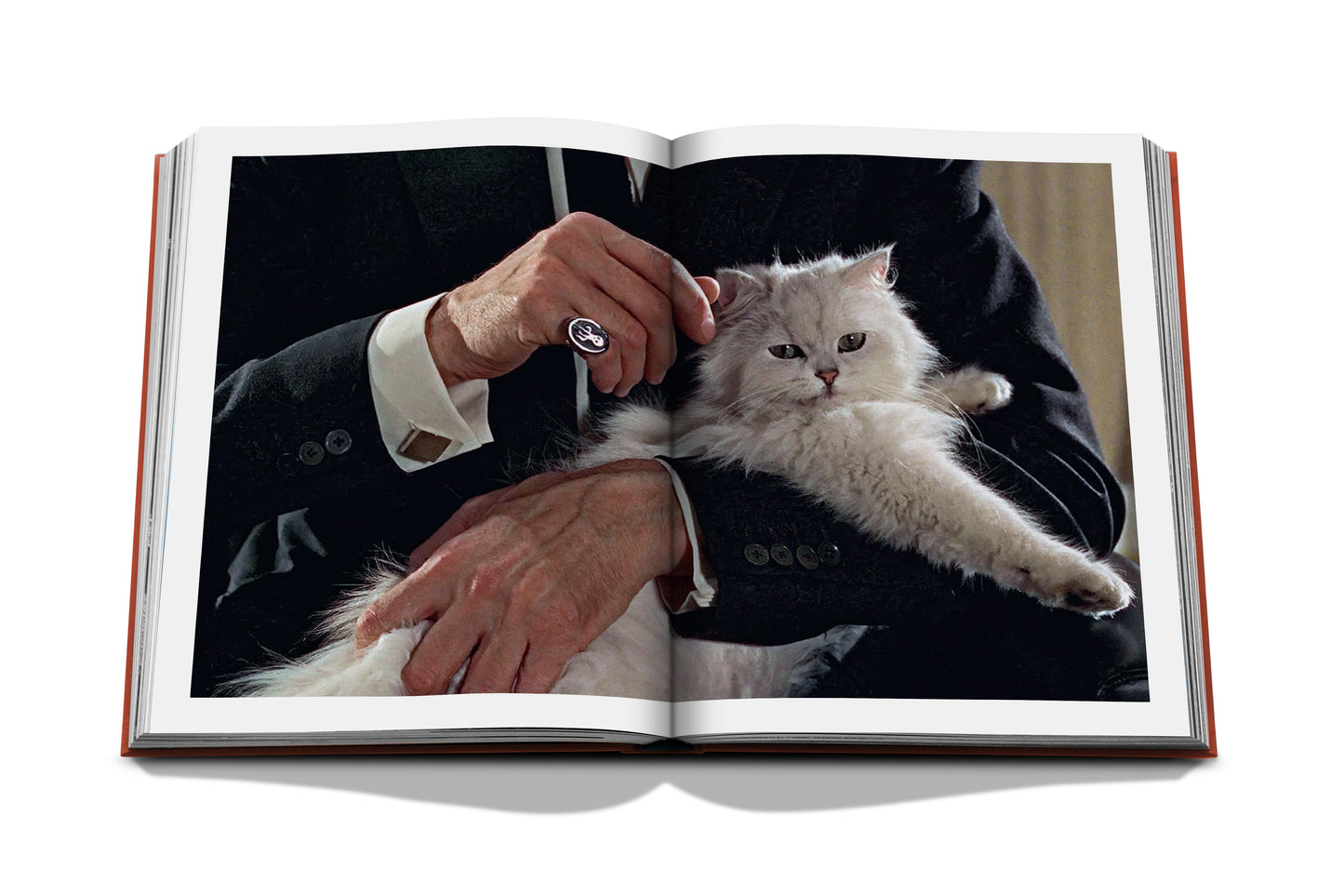 Chic Cats