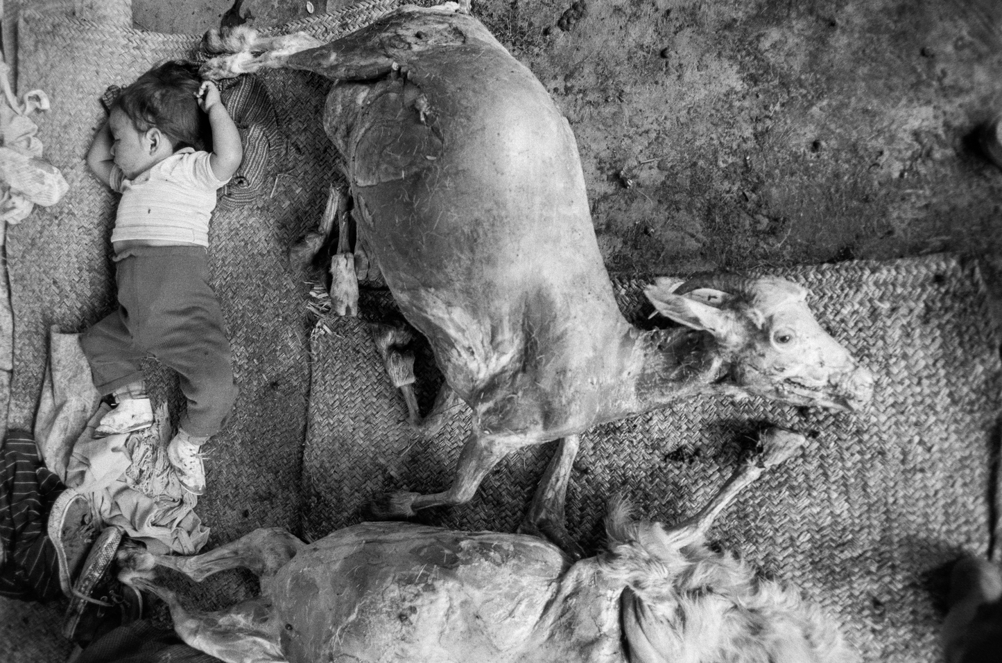 Graciela Iturbide / Infancia