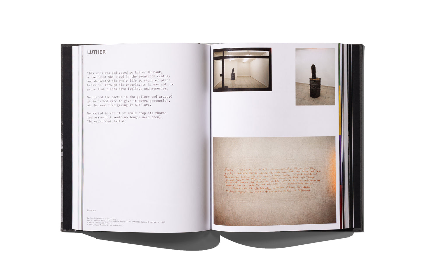 Art Vital: 12 let tandema Ulay/Marina Abramović