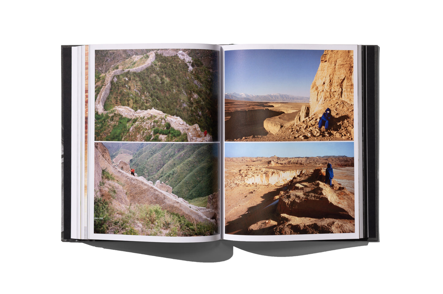 Art Vital: 12 let tandema Ulay/Marina Abramović