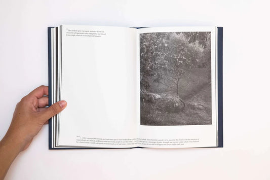 Emilia Martin / I Saw a Tree Bearing Stones in the Place of Apples and Pears