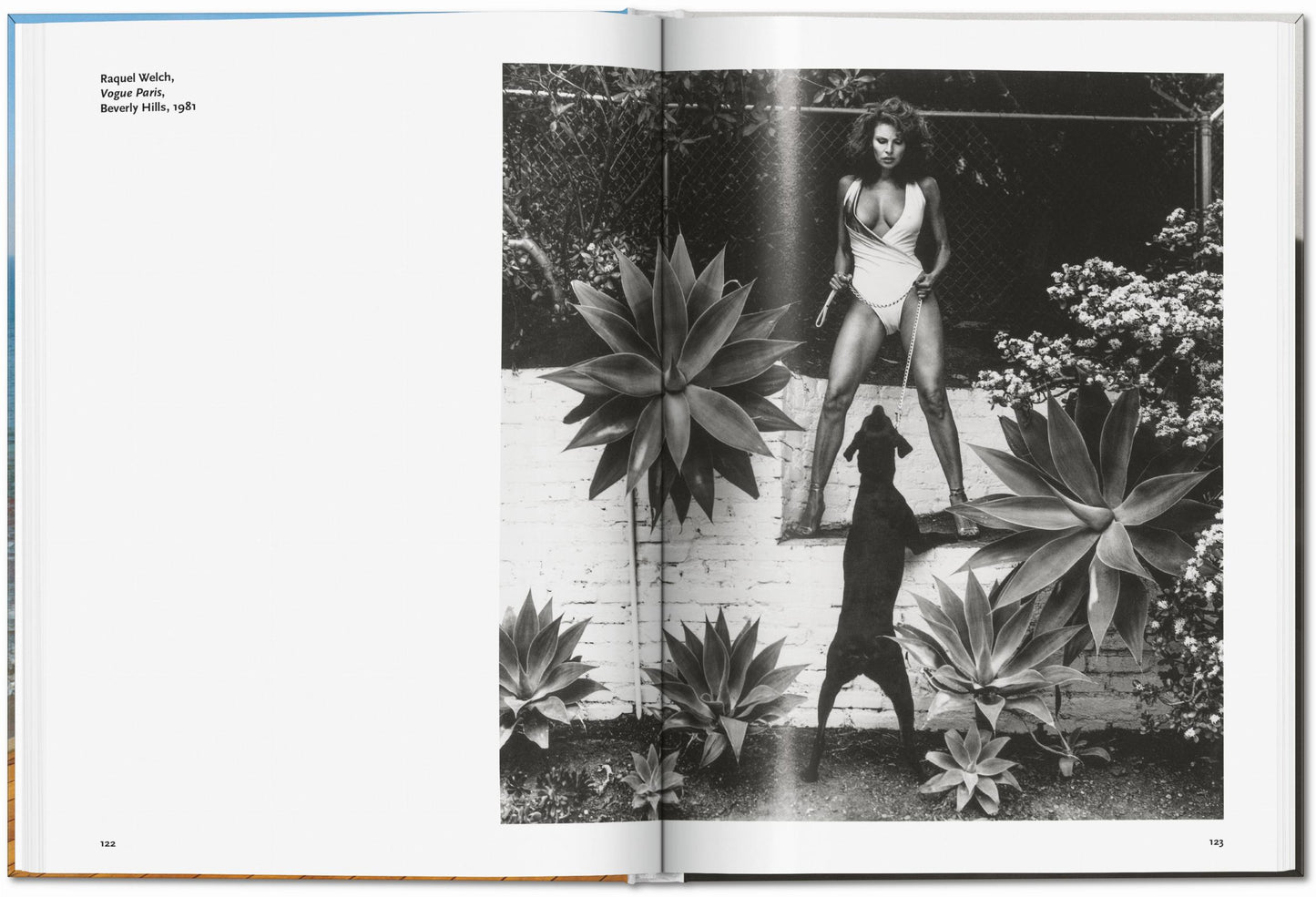 The Captivating World of Helmut Newton