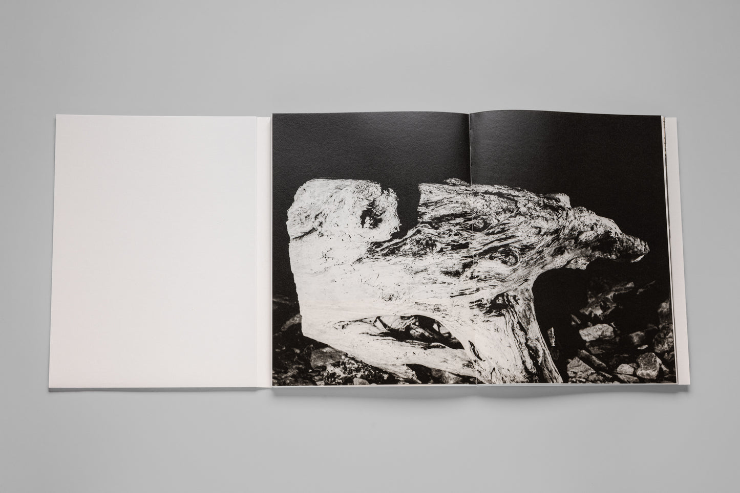 Andrej Lamut / Nothing but a Spaceless Place
