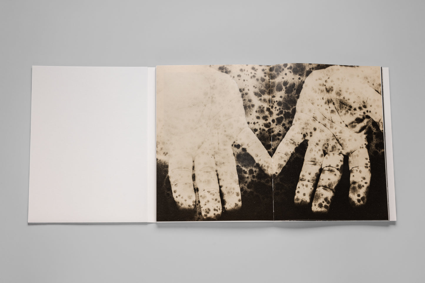 Andrej Lamut / Nothing but a Spaceless Place