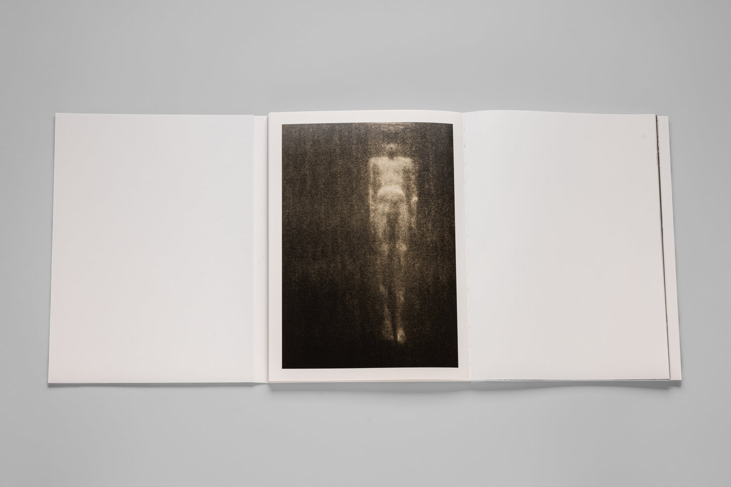 Andrej Lamut / Nothing but a Spaceless Place