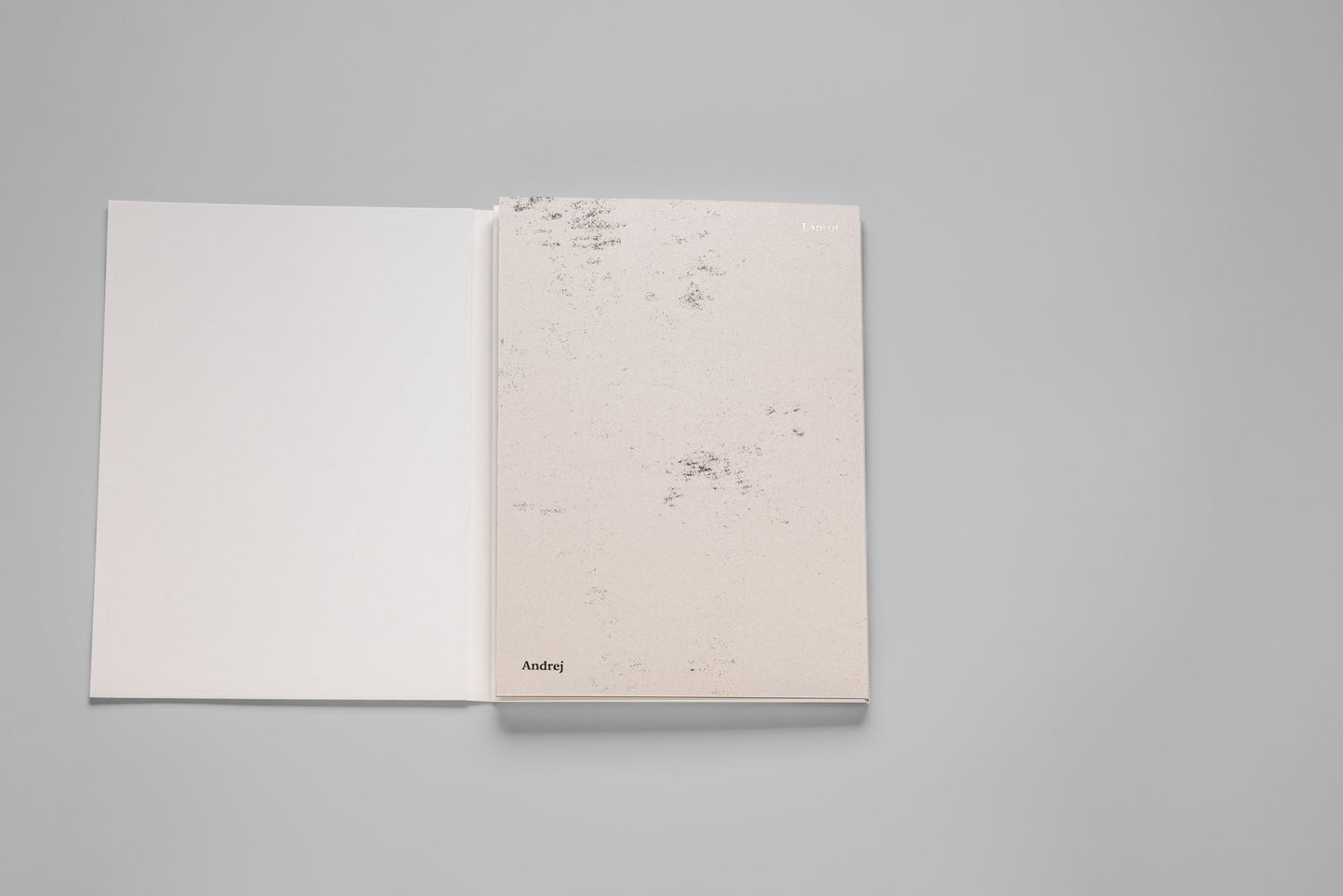 Andrej Lamut / Nothing but a Spaceless Place