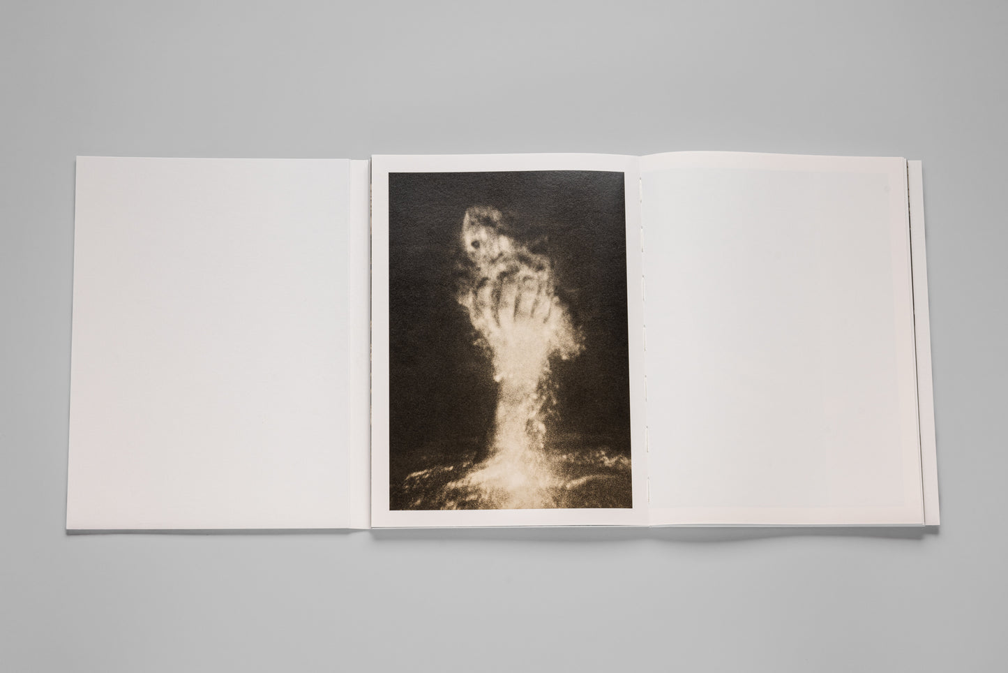 Andrej Lamut / Nothing but a Spaceless Place