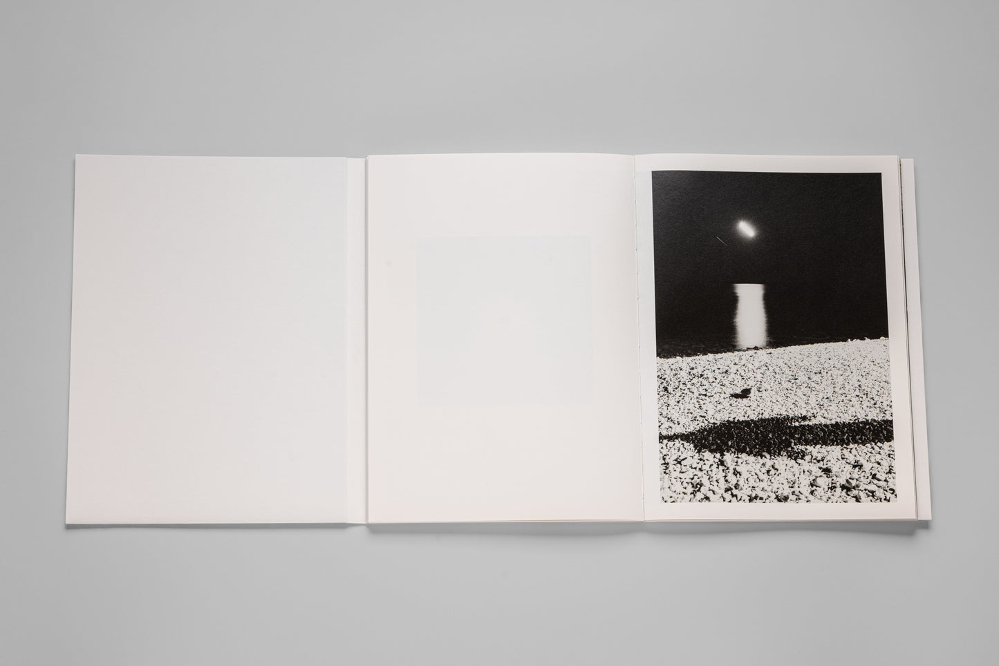 Andrej Lamut / Nothing but a Spaceless Place