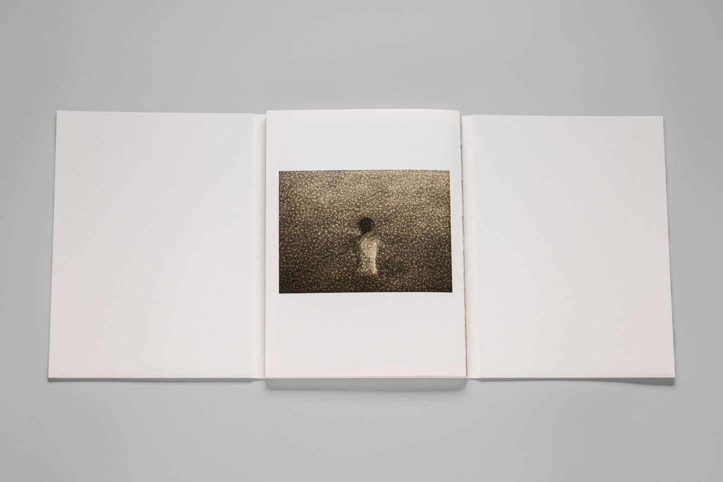 Andrej Lamut / Nothing but a Spaceless Place