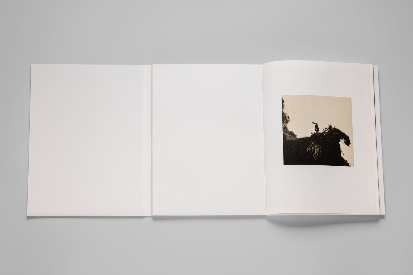 Andrej Lamut / Nothing but a Spaceless Place
