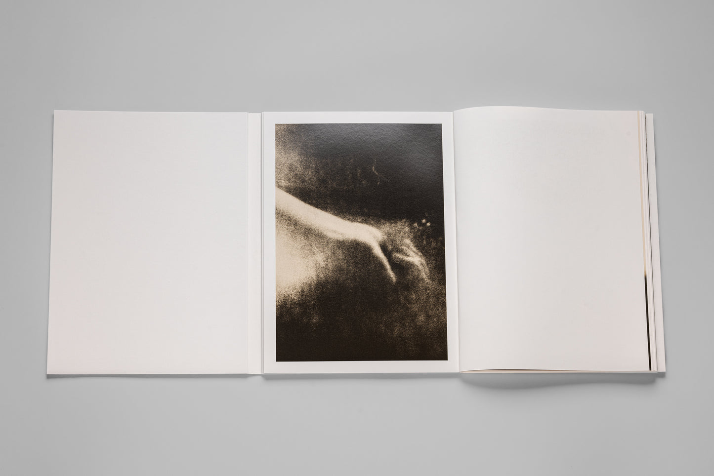 Andrej Lamut / Nothing but a Spaceless Place