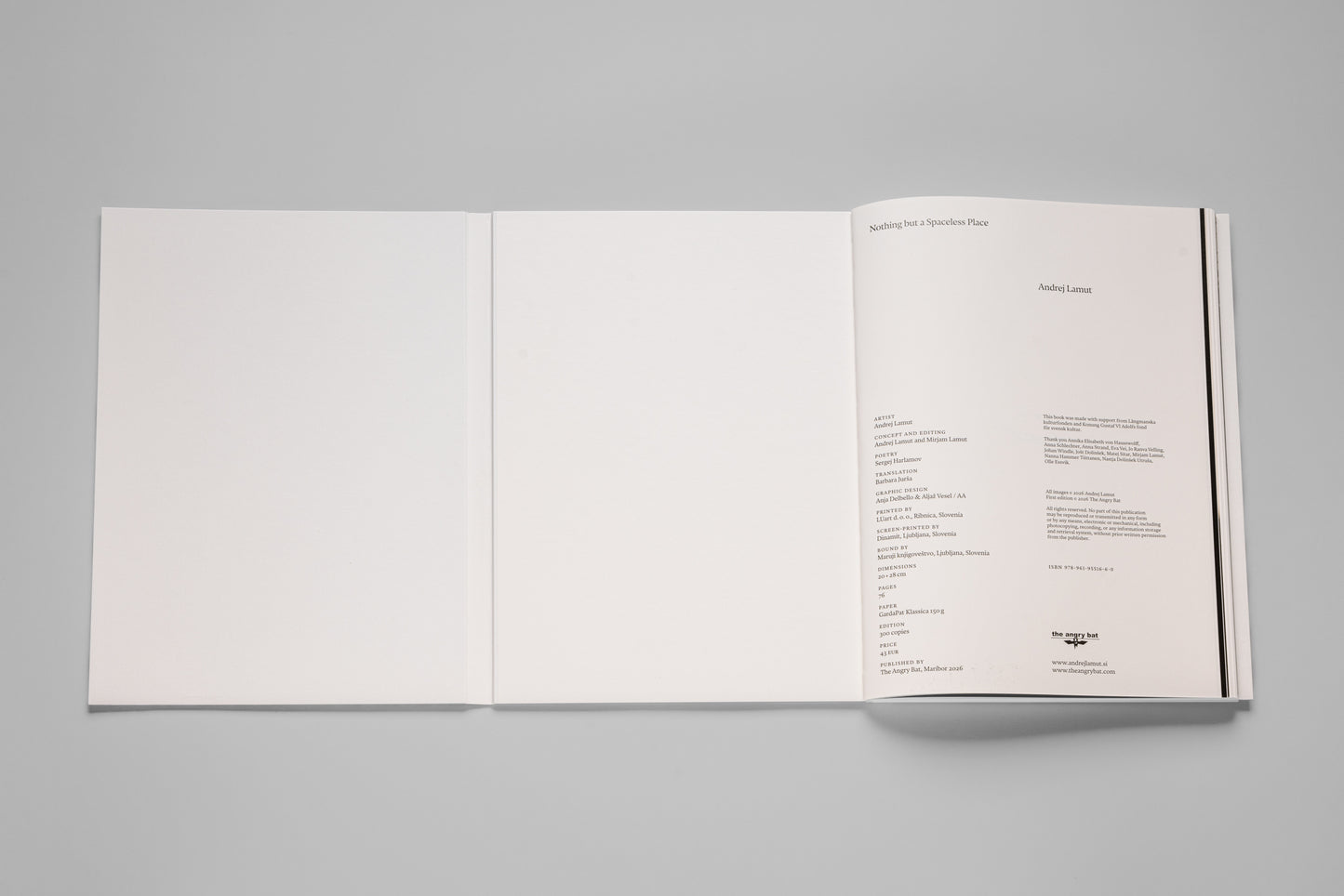 Andrej Lamut / Nothing but a Spaceless Place