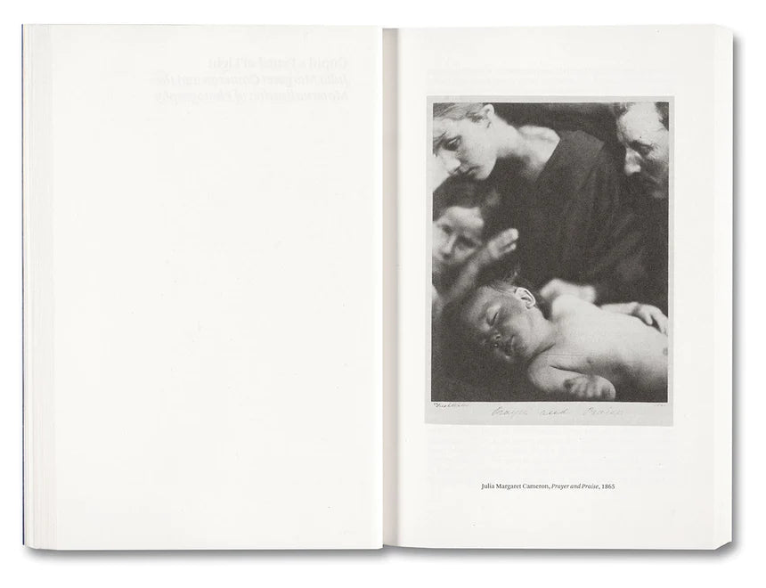 Carol Armstrong / Painting Photography Painting. Selected Essays