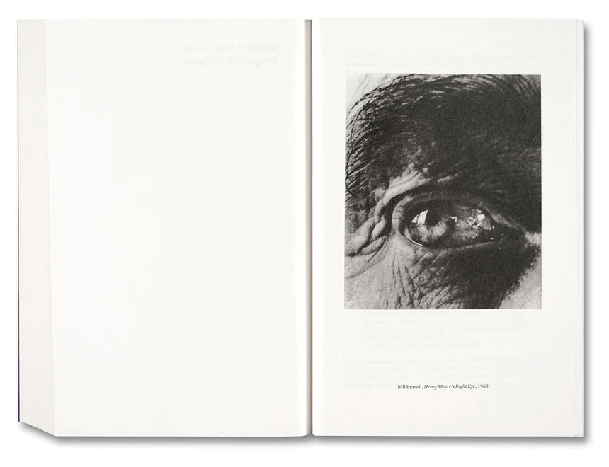 Carol Armstrong / Painting Photography Painting. Selected Essays
