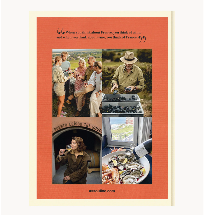 Wine & Travel: France