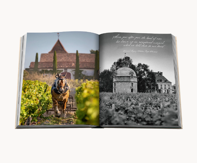 Wine & Travel: France