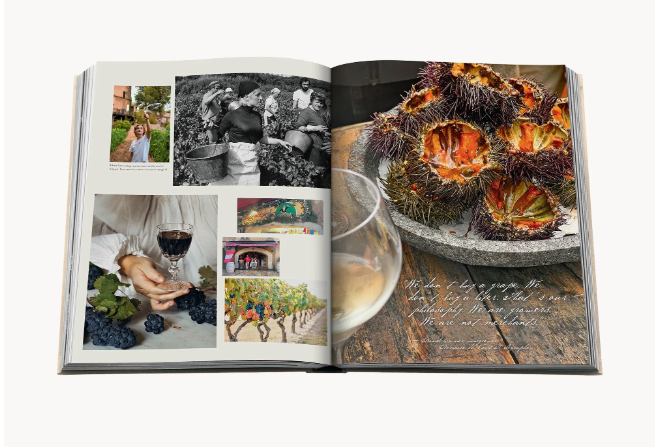 Wine & Travel: France