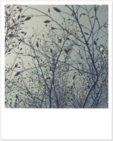 Rinko Kawauchi / Benrido Mini Collotype Portfolio: Early Works 1997