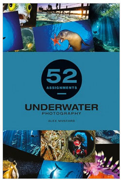 52 Assignments: Underwater Photography