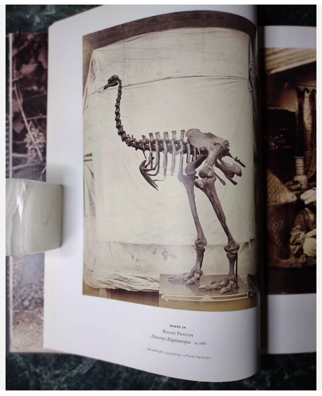 Weston Naef / Photographers of Genius at the Getty