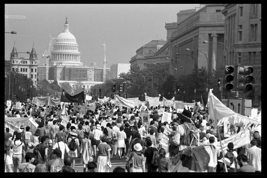 Jamie Fishman / American Protest