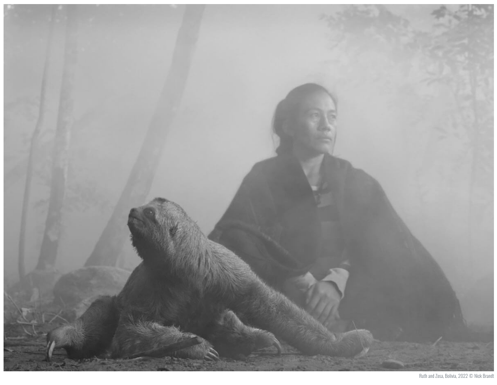 Nick Brandt / The Day May Break (Chapter Two)