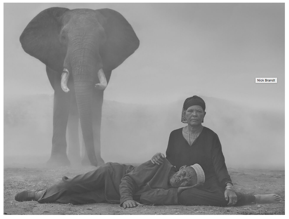 Nick Brandt / The Day May Break (Chapter One)