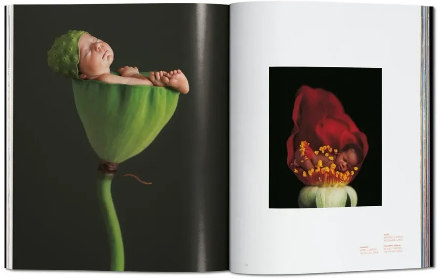 Anne Geddes / Small World