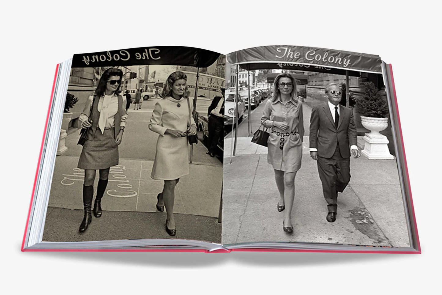 Swans: Legends of the Jet Society