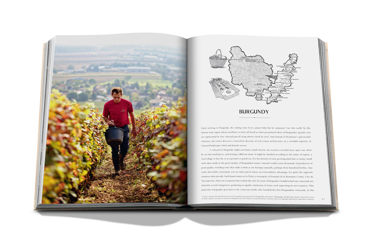 Wine & Travel: France