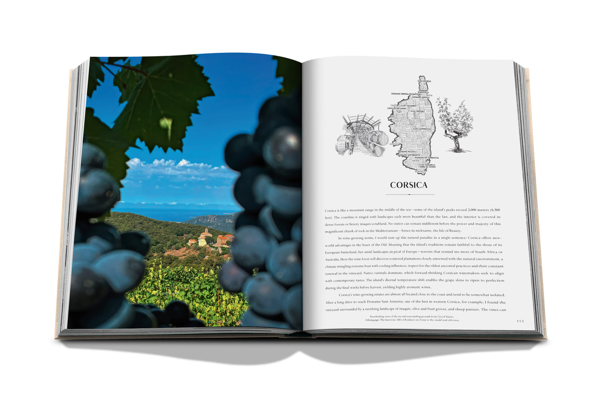 Wine & Travel: France