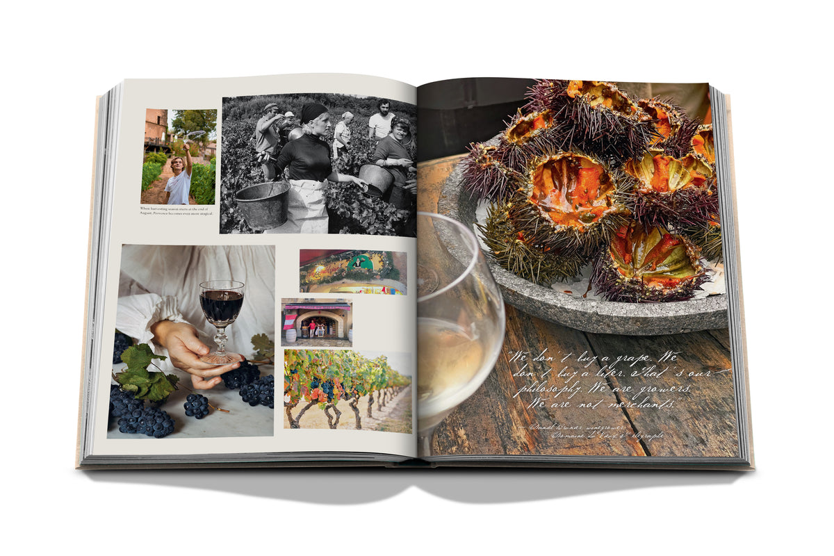 Wine & Travel: France
