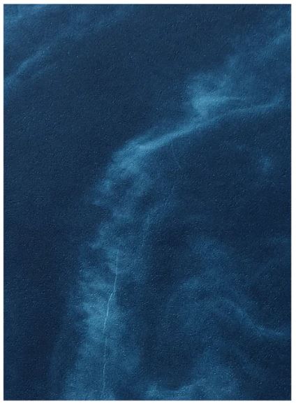 Małgorzata Stankiewicz / viridescent, afire