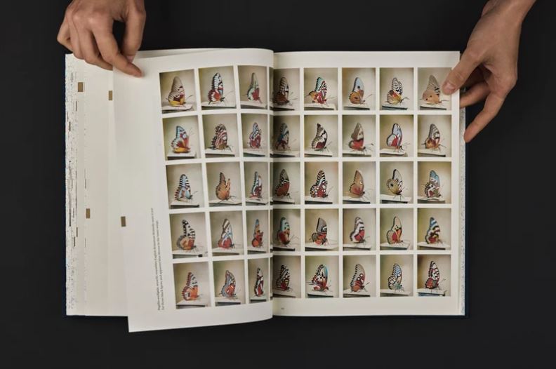 Weronika Gęsicka / Encyclopaedia